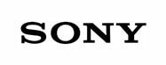 Placement Logo 21